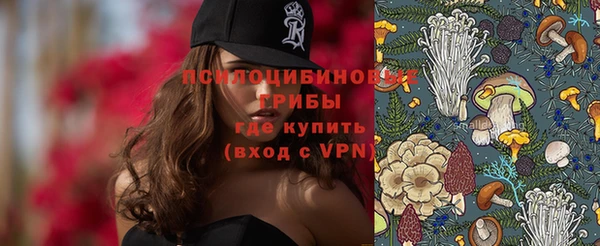 прущая мука Верхний Тагил