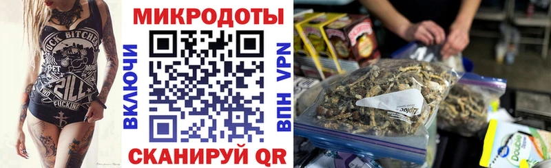Псилоцибиновые грибы Magic Shrooms  магазин продажи наркотиков  Новошахтинск 